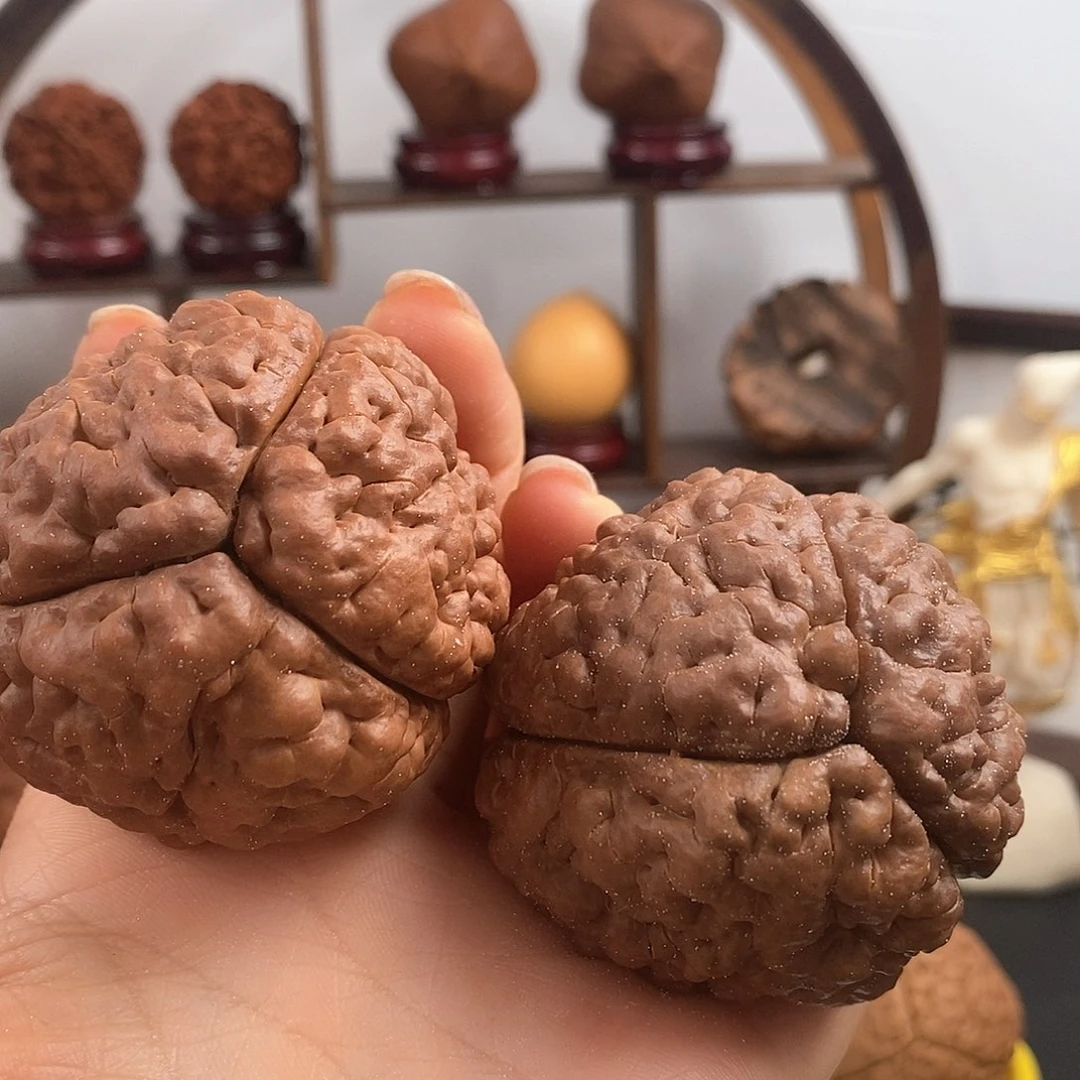 文玩核桃把件三瓣脑纹金刚爆肉色差5261