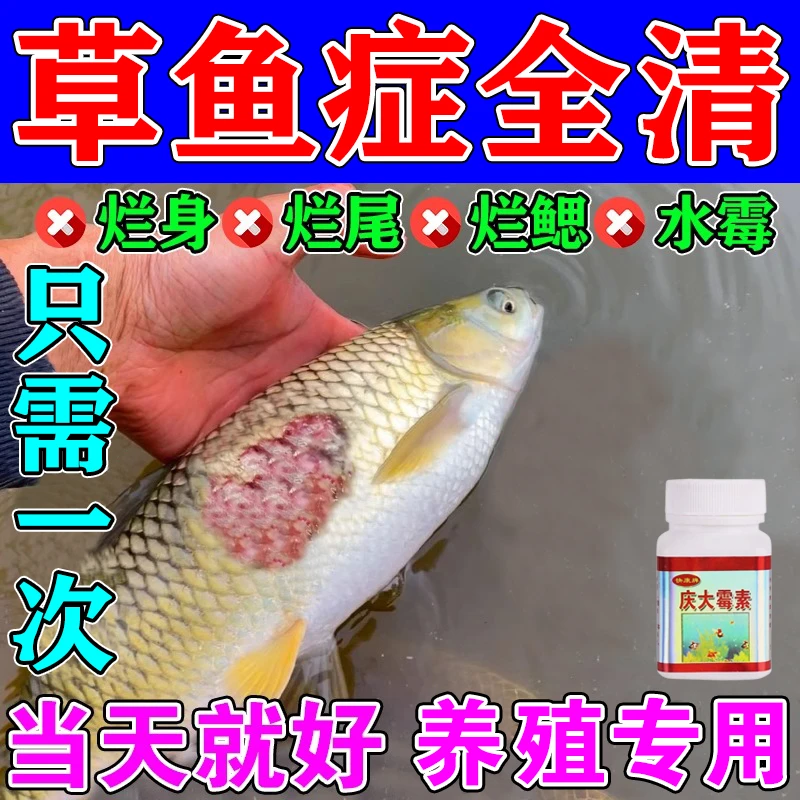 草鱼烂身尾水产养殖白点霉水族专用红斑烂鳃鳍掉鳞鱼塘池庆大霉素