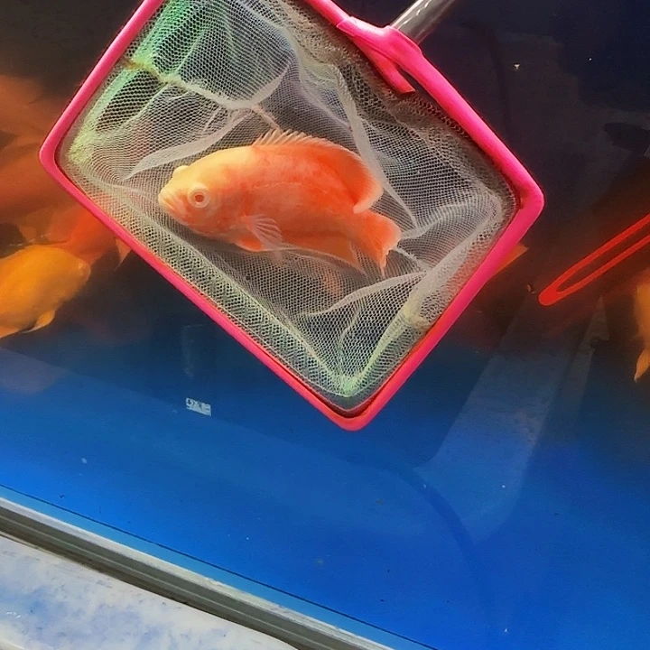 龙***下海水啊啊啊啊啊啊啊啊啊啊