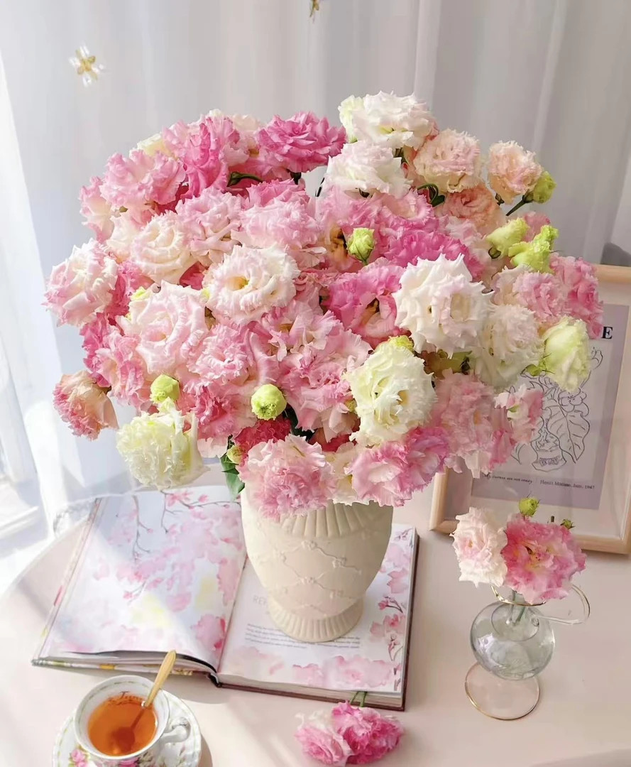 粉色桔梗-任意两单发顺丰或者德邦送货上门云南鲜花