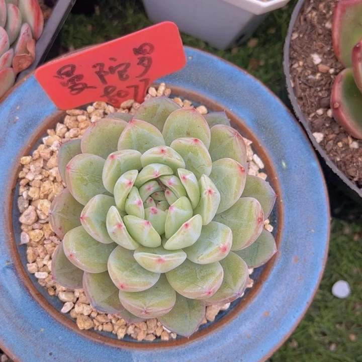 健健康康平平安安