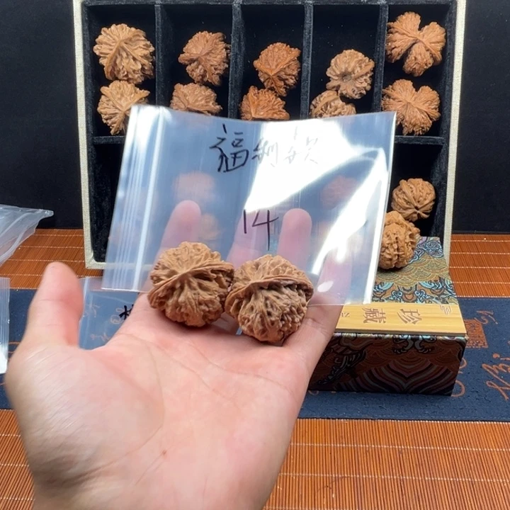 核桃哈哈哈哈哈哈哈哈哈哈