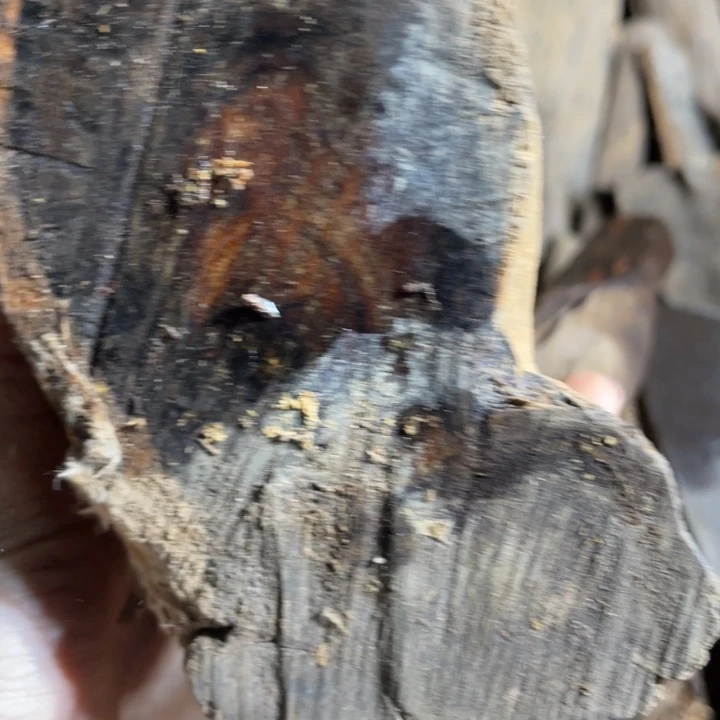 粵***彩贡木手串感谢大家