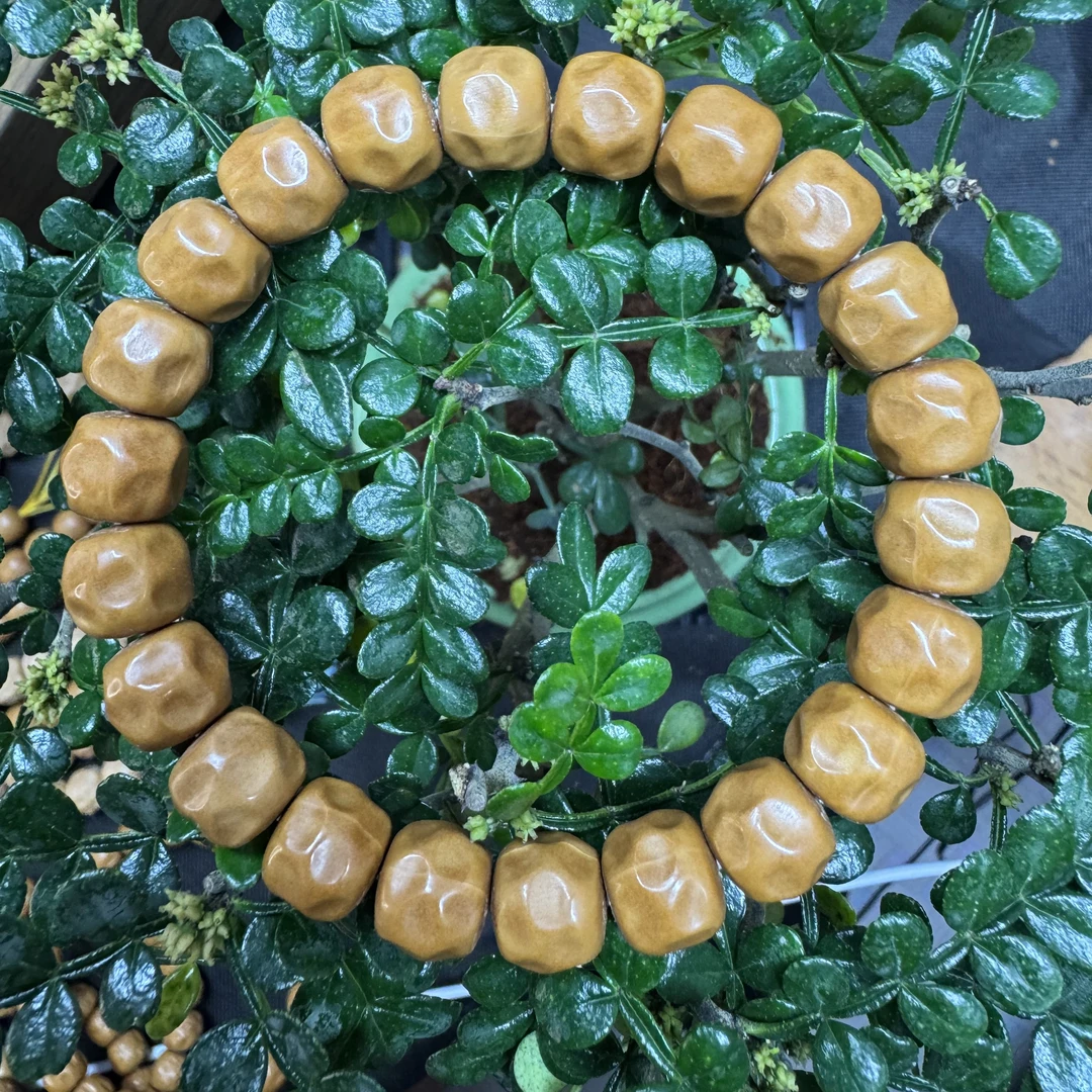 猴头手串（A+全品 不是S）原生态 奶酪无相 时尚百搭 男女同款