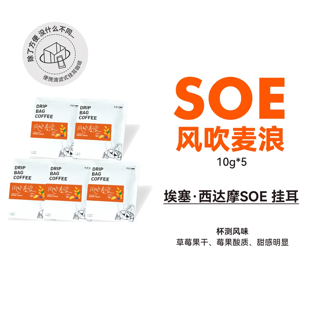 风吹麦浪 西达摩日晒 中烘挂耳咖啡5包散装便携挂耳咖啡