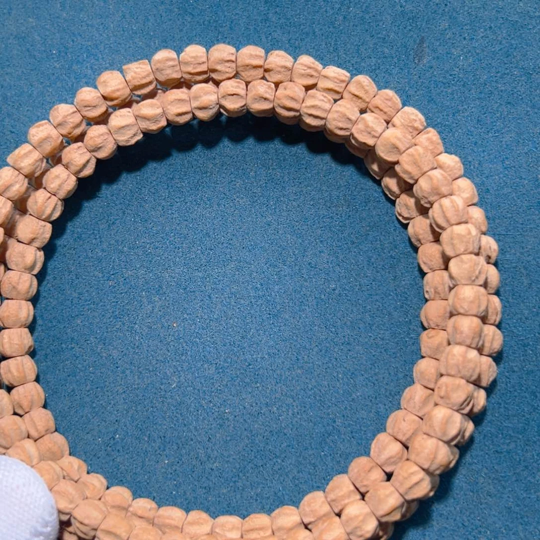 吊坠柏香籽/百香籽秋*刀锋龙脊