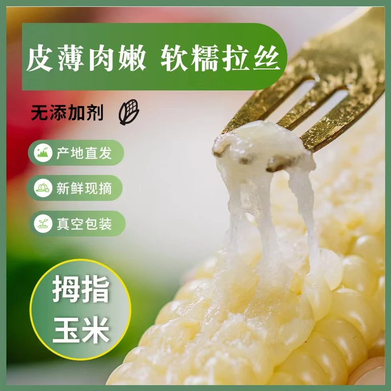 【西双版纳拇指小玉米】云南西双版纳代餐早餐正空包装迷你手指玉米