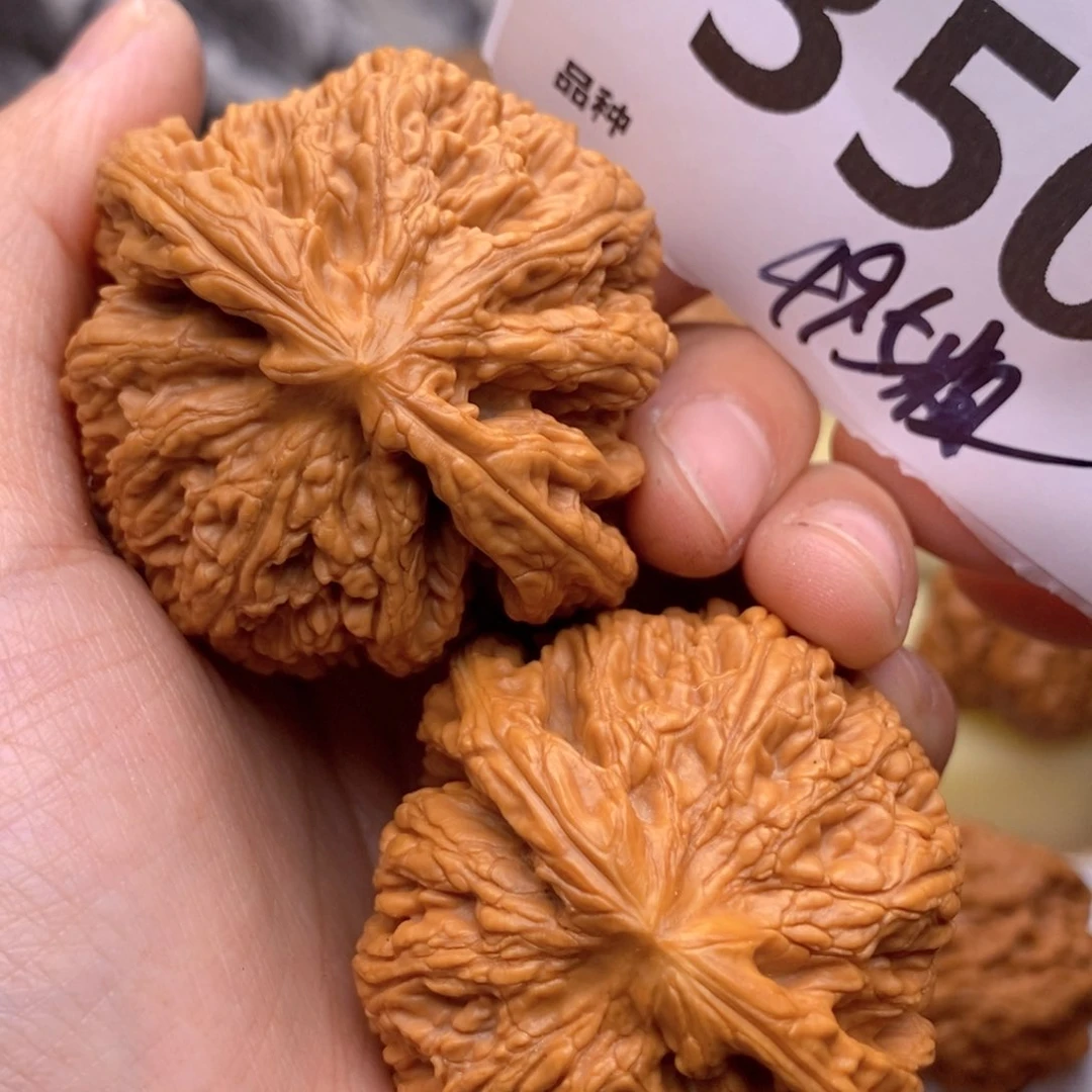 文玩核桃把件350号49.5粗筋