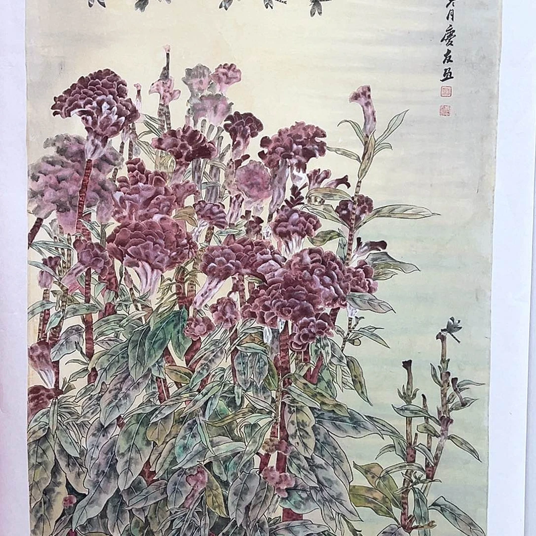 竖款福利来了来了来了来