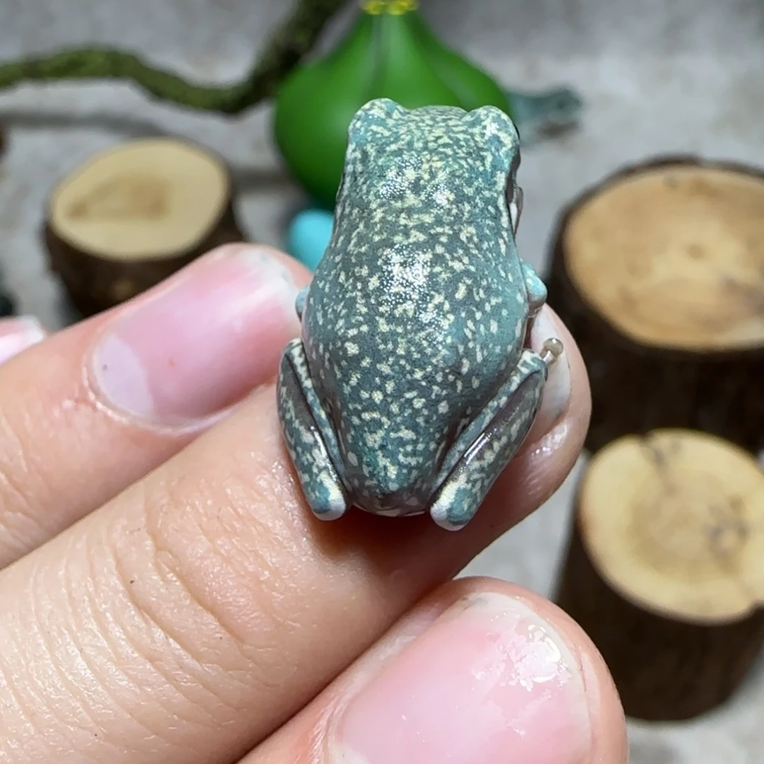 老爷树蛙12 魔鬼蓝顶级暴雪