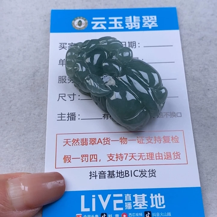 翡翠未镶嵌颈饰多人貔貅