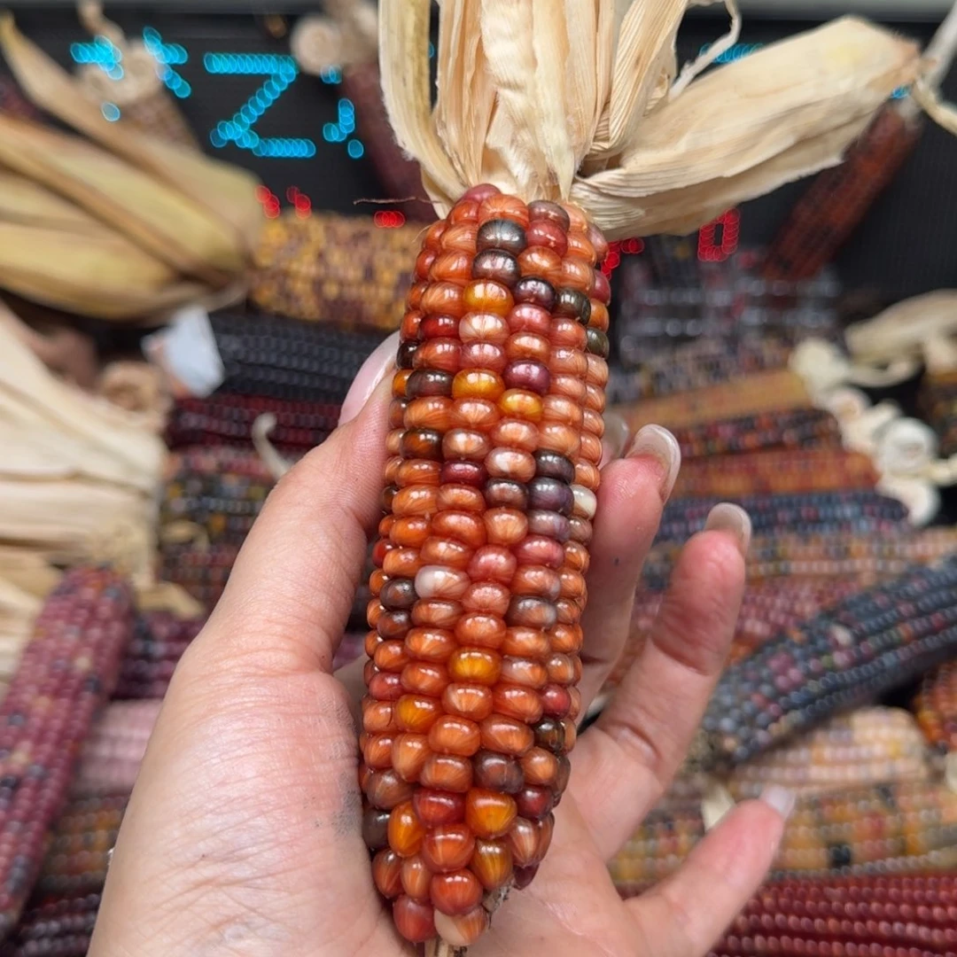 柏香籽/百香籽吊坠我****啦