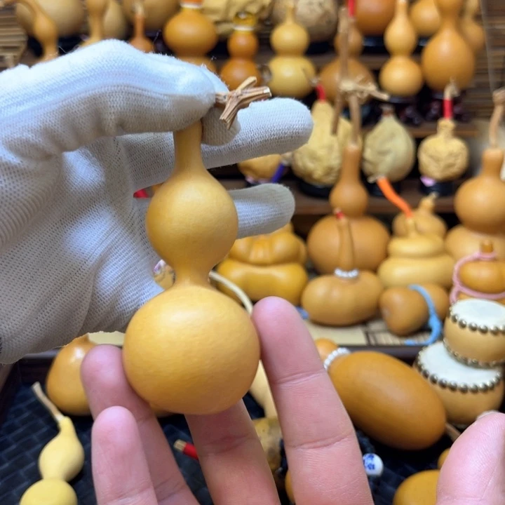 天津嘴甩肚厚皮响籽3