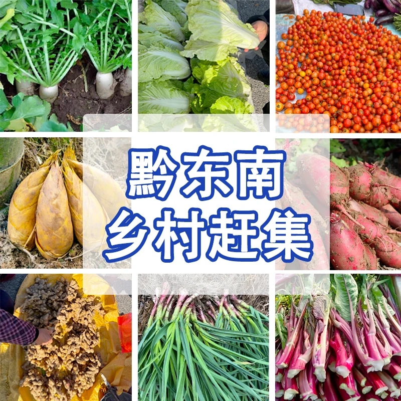 【农村赶集】贵州土特产赶集直播现场代购 包邮