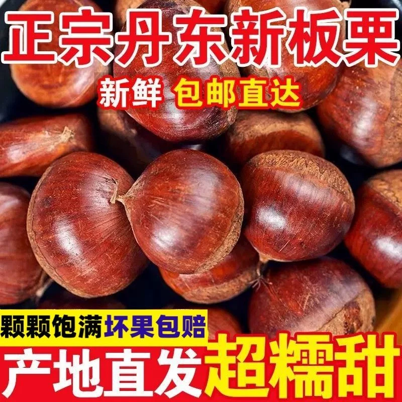 【5斤】丹东高山板栗新鲜现摘产地发香糯可口难剥皮送栗爪
