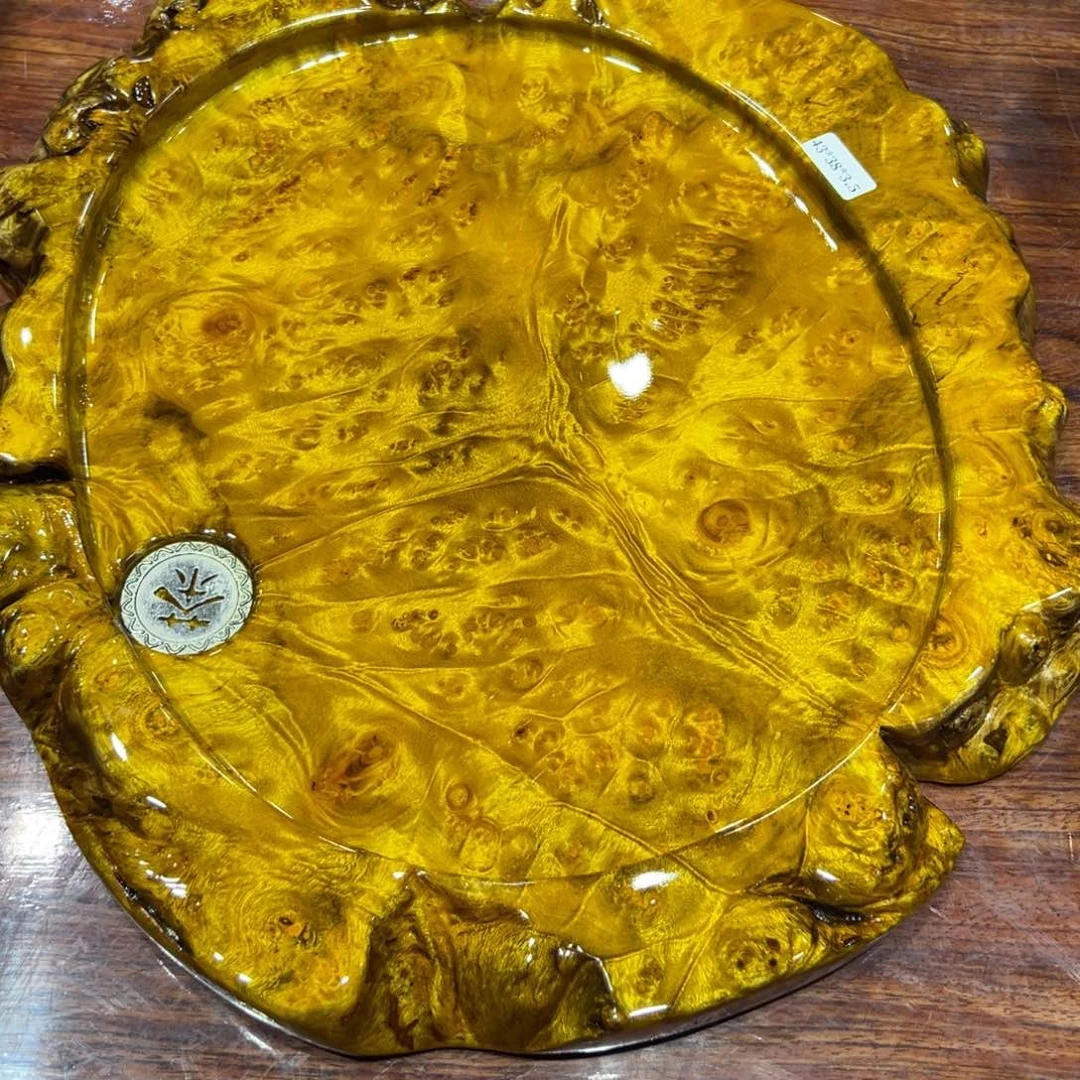 旧*不包邮不包邮黄金樟888888888