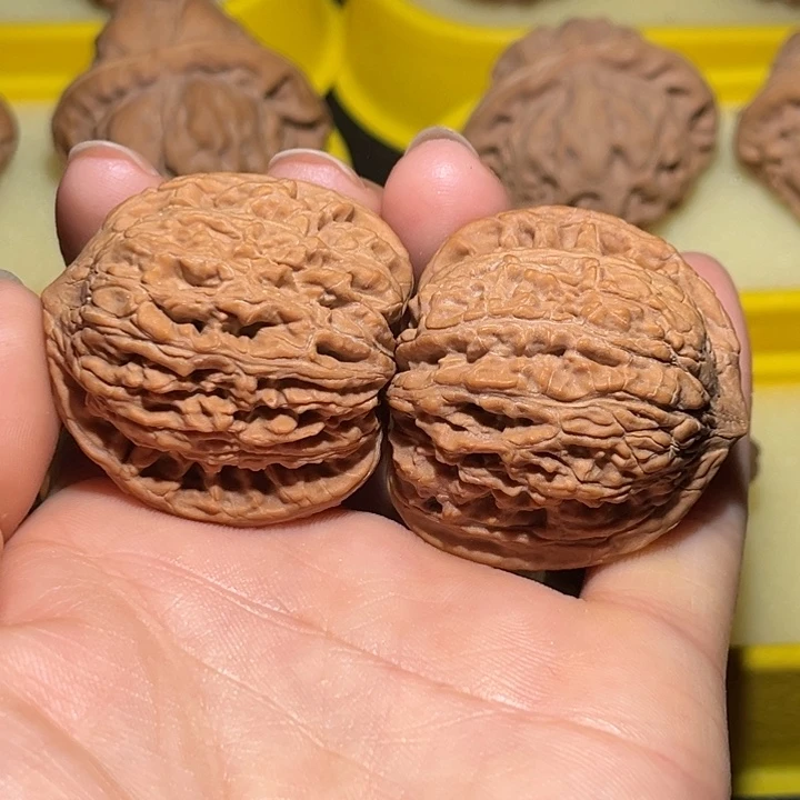 涞水山地果绣球全品