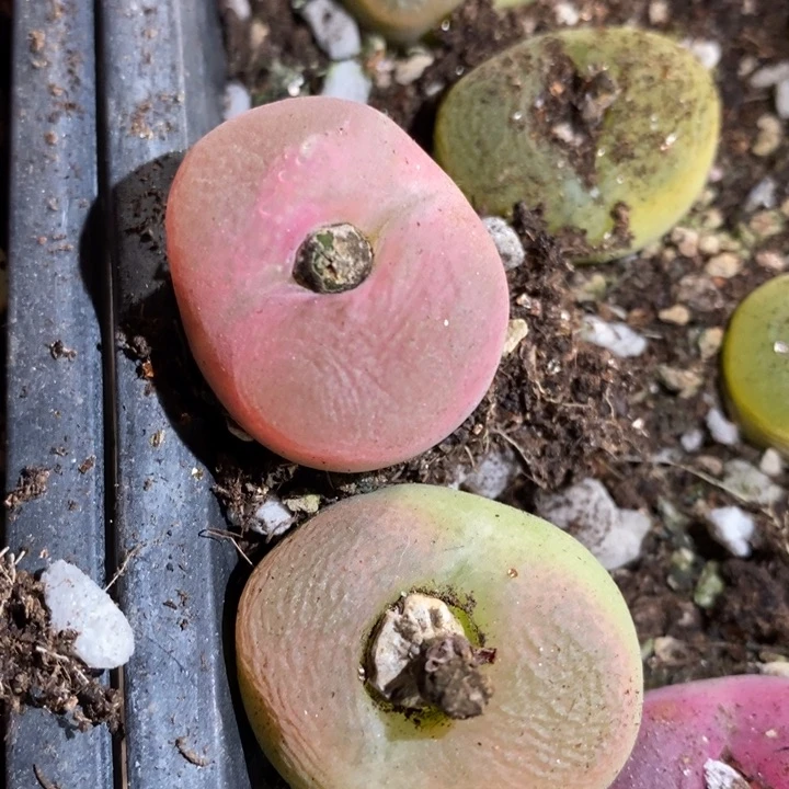 18177一组一组一组