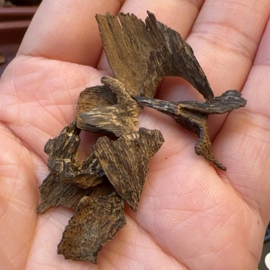 摆件沉香海南野生鸡母虫1.38克