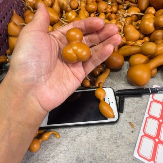 e***y英文的一把小金蟾葫芦英文的