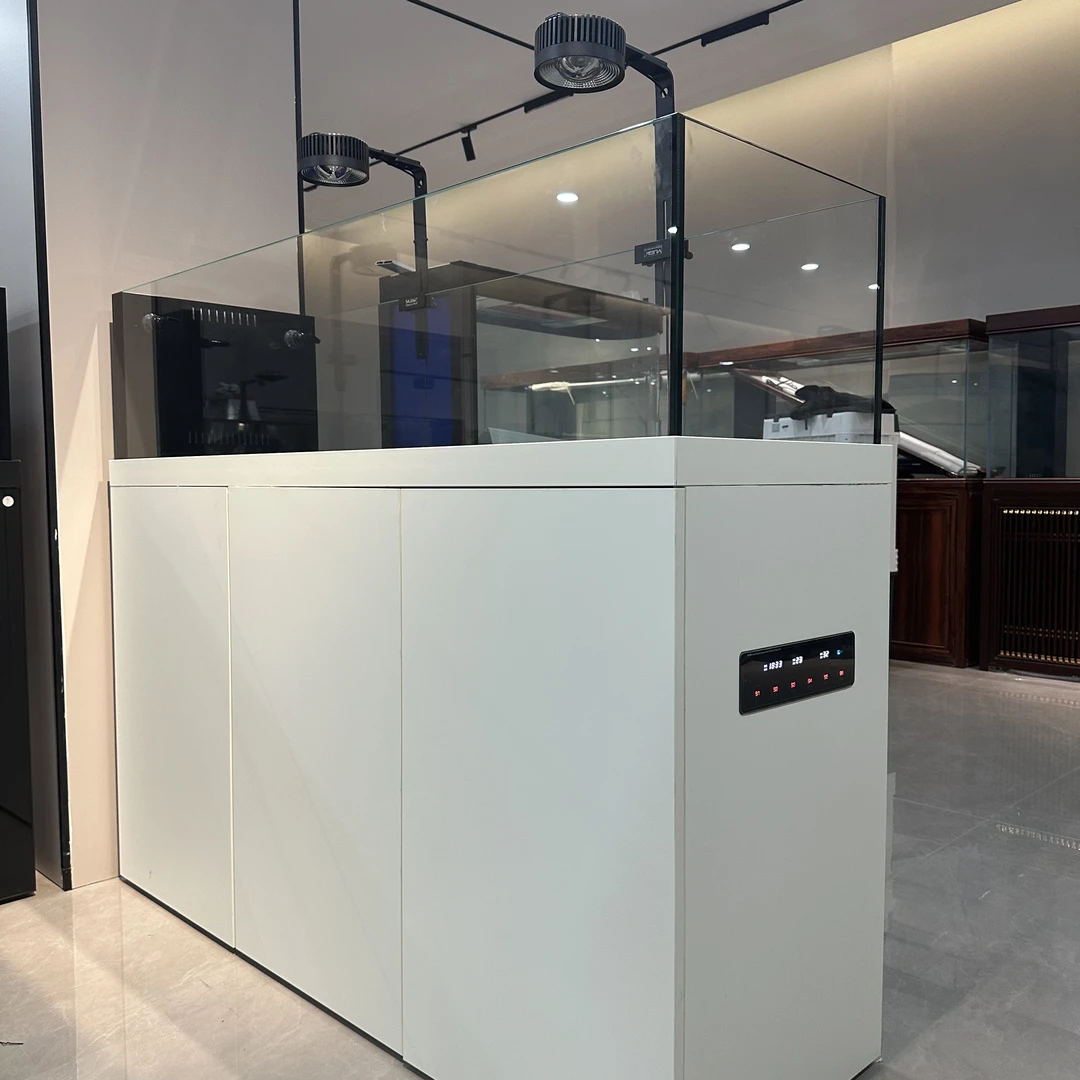 25年极窄溪流缸原生鱼缸蓝吉罗鱼兰寿鱼缸