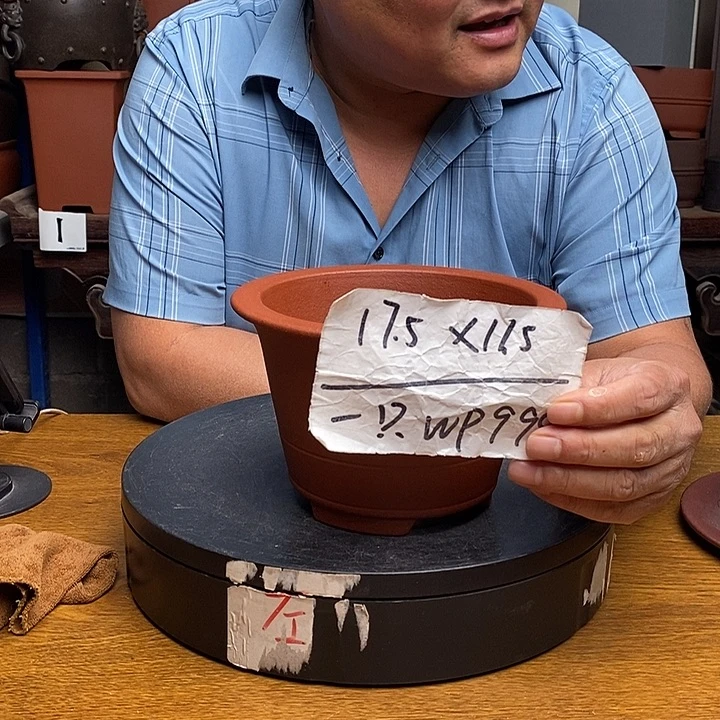 紫砂货号一只WP999