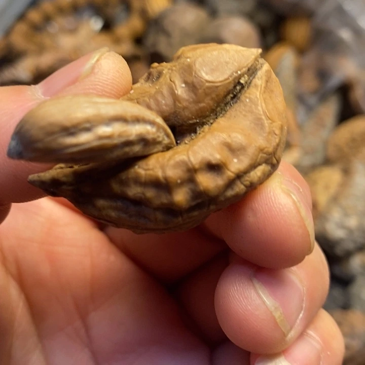 文玩核桃吊坠东北特产4