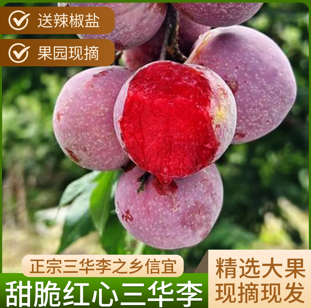正宗信宜红心三华李新鲜采摘原产地直发