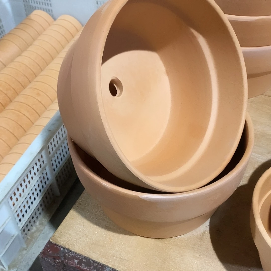 红陶20×11-2