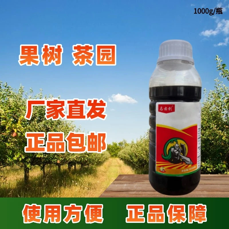 果园茶园搭配方便防治绿色正品包邮厂家直发马齿剑大量有机质