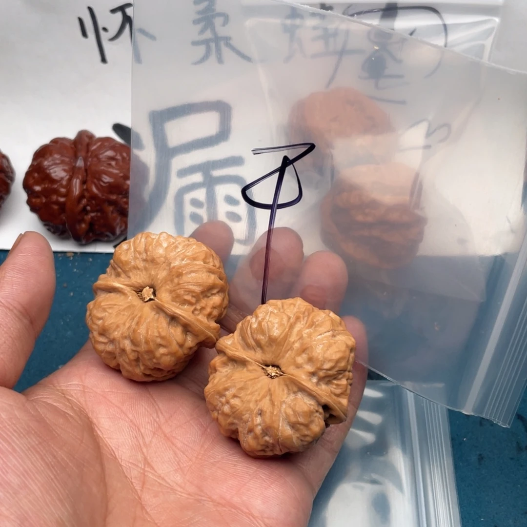 核桃W9646836844699466944