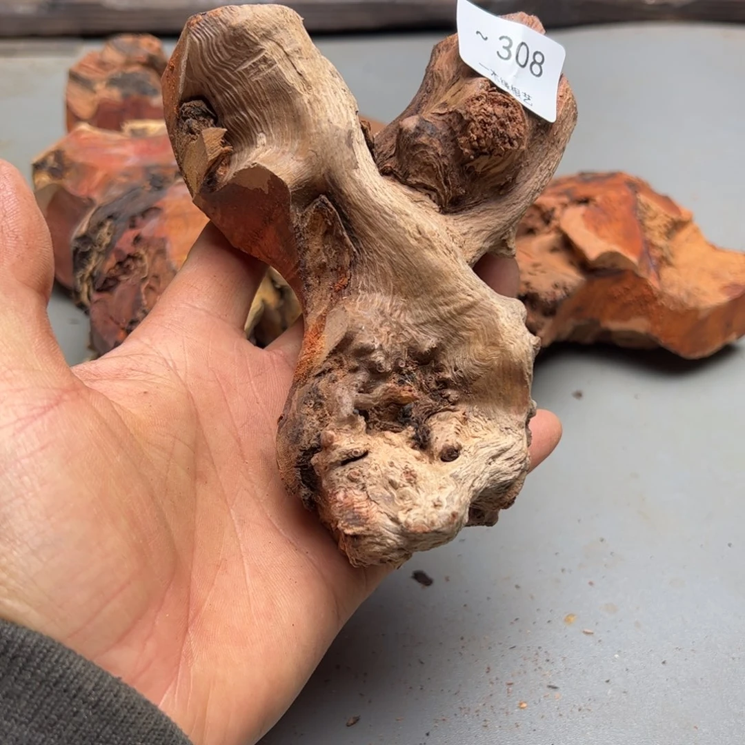 站***！无花朵          308