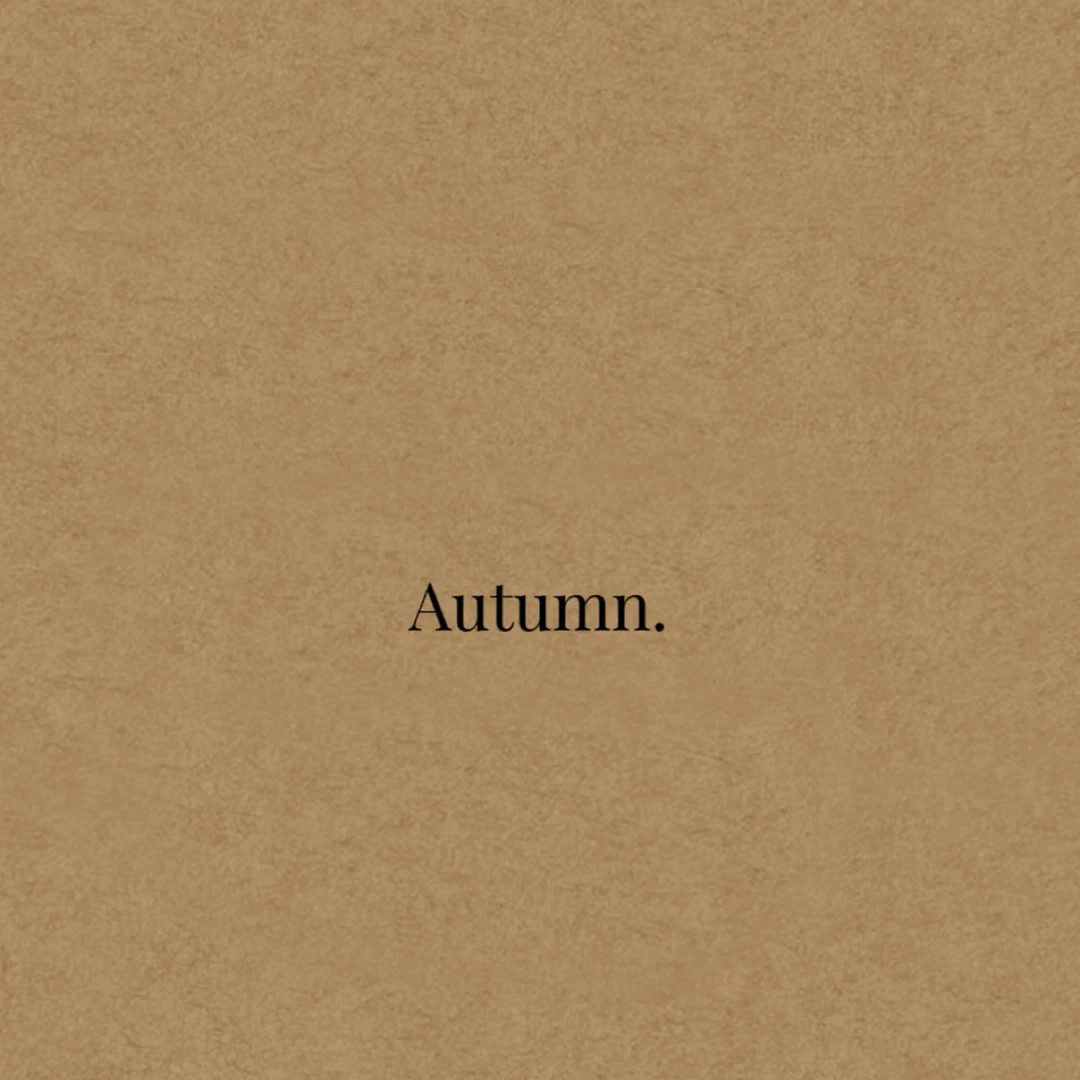 以简约腔调 谱写秋冬主旋律