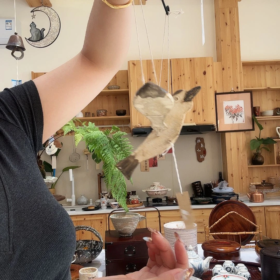 瓷片亮亮亮亮亮亮亮亮亮亮了