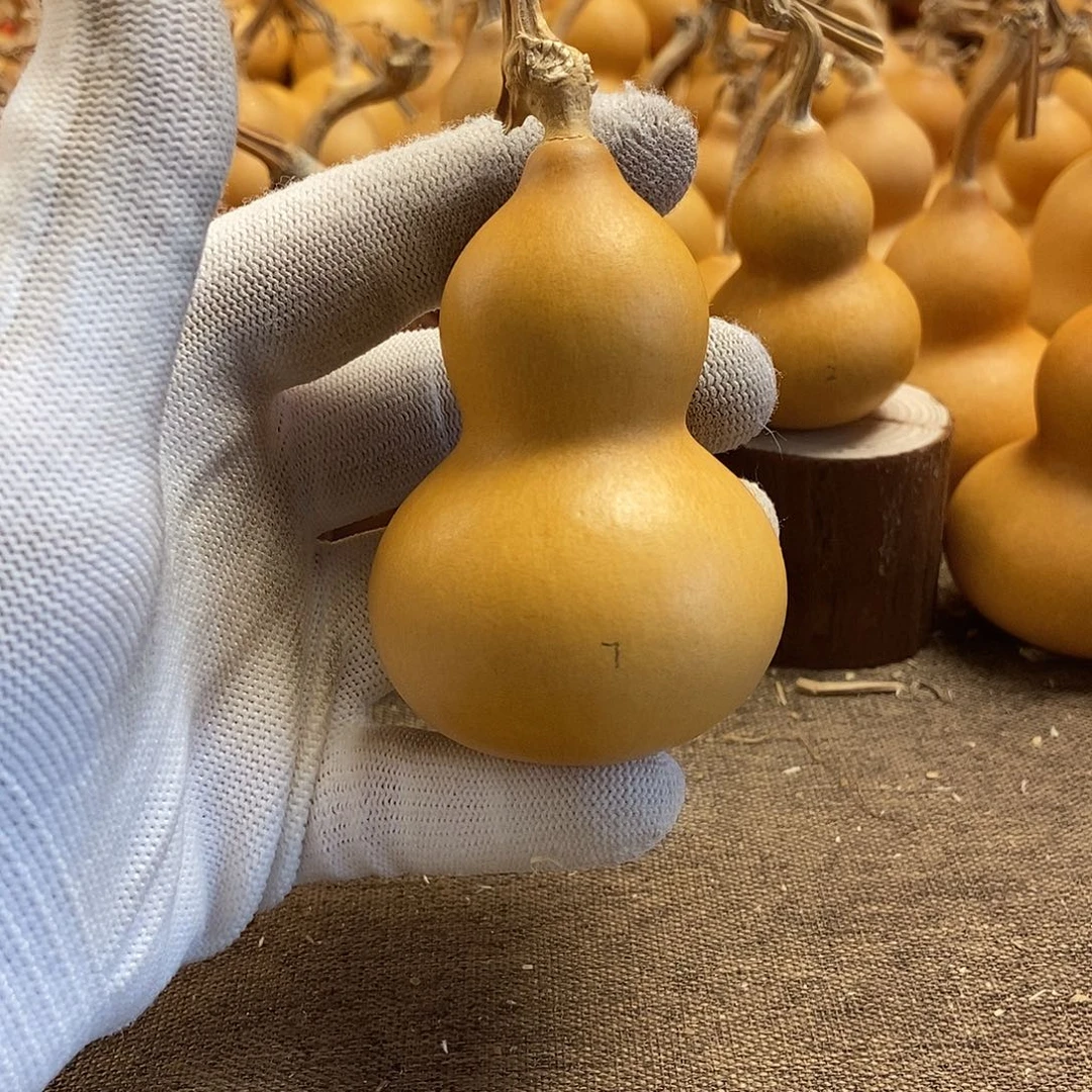 文玩葫芦 完美主义者 慎拍7