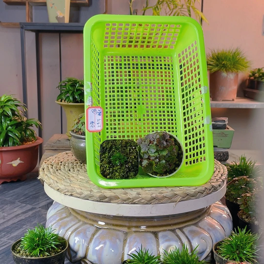 【闪购商品】完全开放