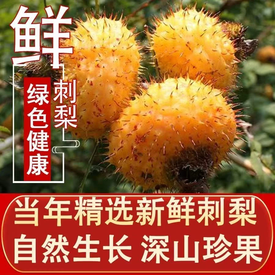 四川新鲜野生刺梨鲜果生吃榨汁泡酒富含VitC食用泡茶天然刺梨水果
