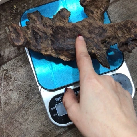 降真香其他用****7红降厚实虫漏