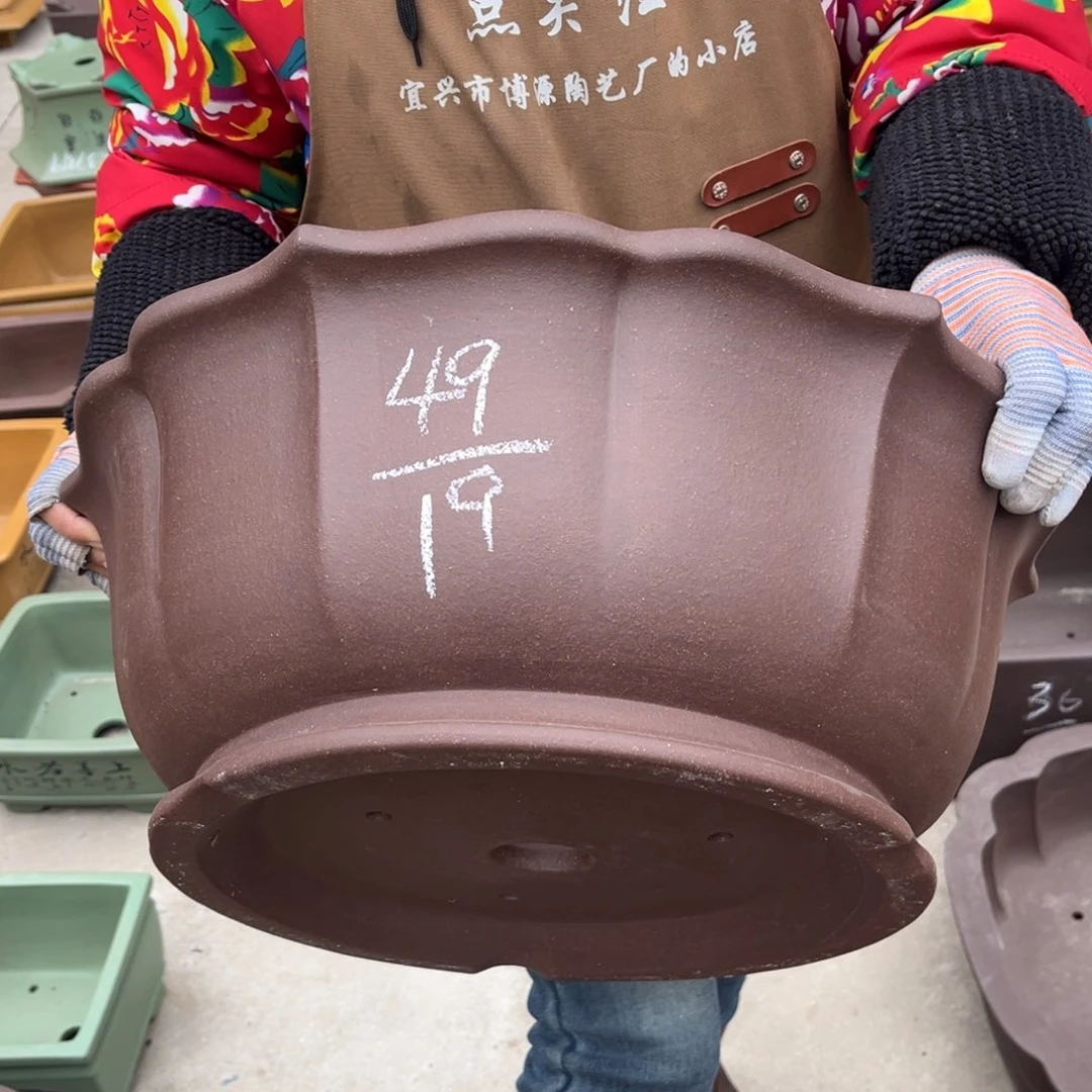 紫砂花盆盆景艺术