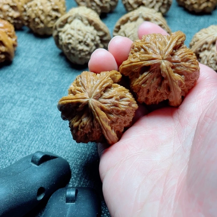 手工三棱白狮子三棱