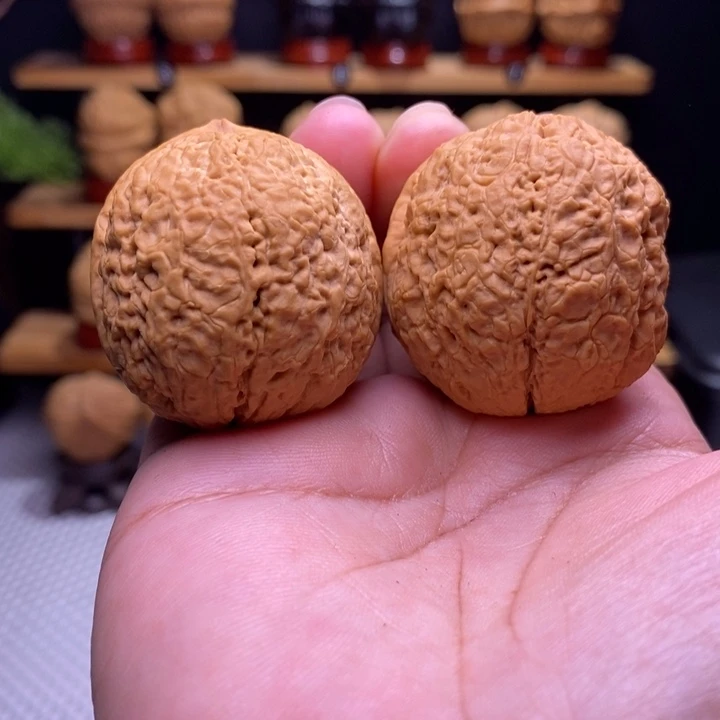 木质类云铁卧龙元宝50号