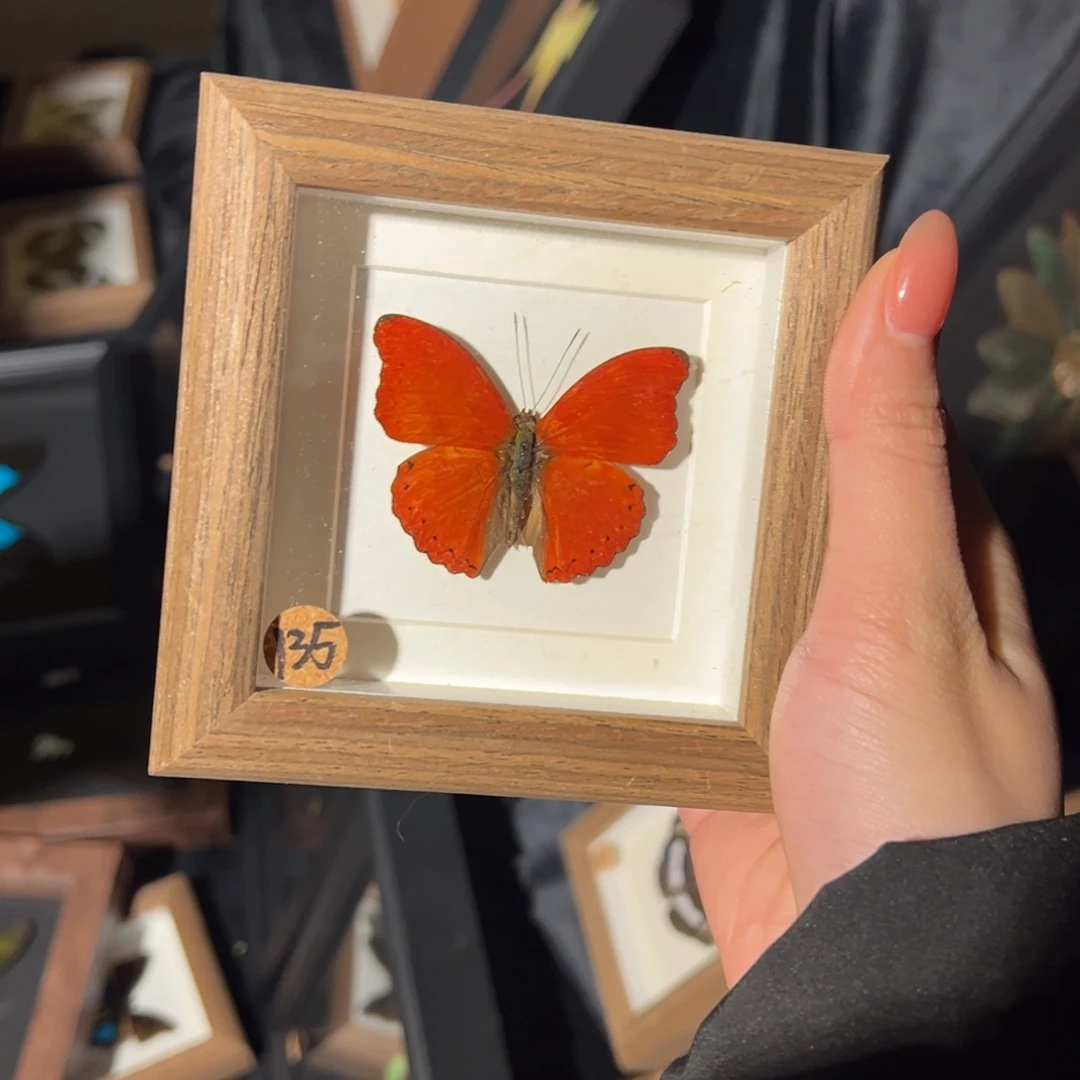 陶溪川开播啦开播啦车*躲