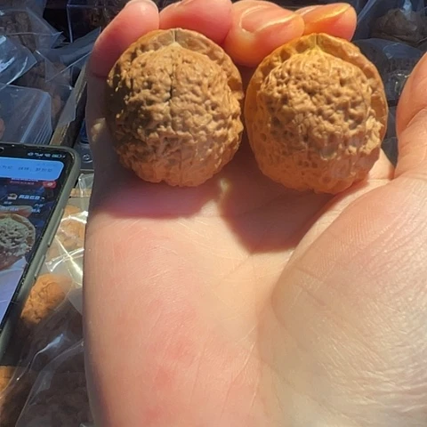 文玩核桃把件玄武盾带彩40