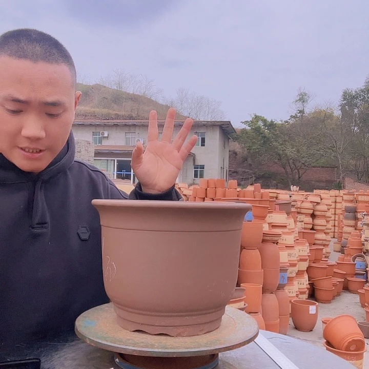 紫砂福满园春色撩人了