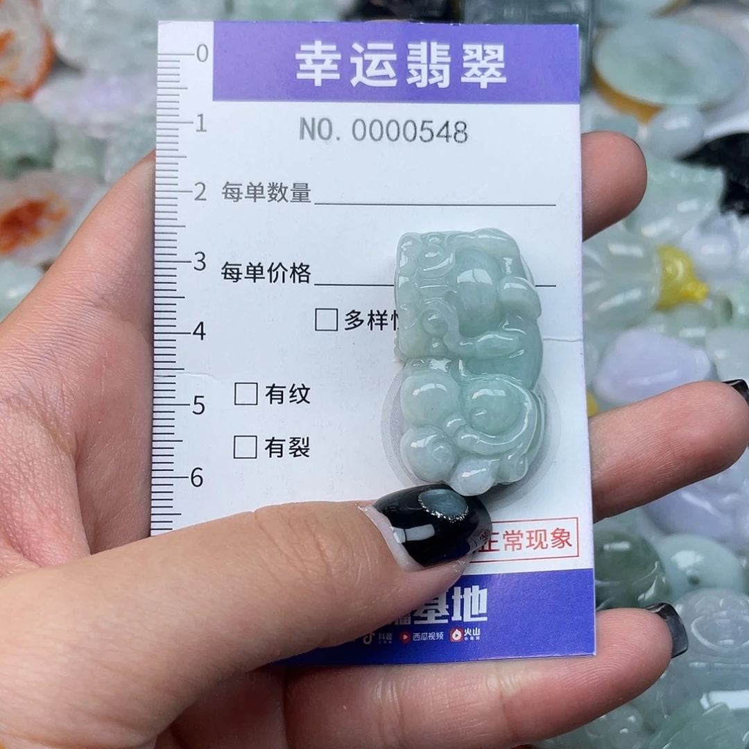 中***周翡翠未镶嵌颈饰548