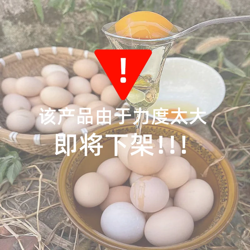 【到手50枚】 新鲜土鸡蛋农家散养蛋柴鸡蛋鲜鸡蛋