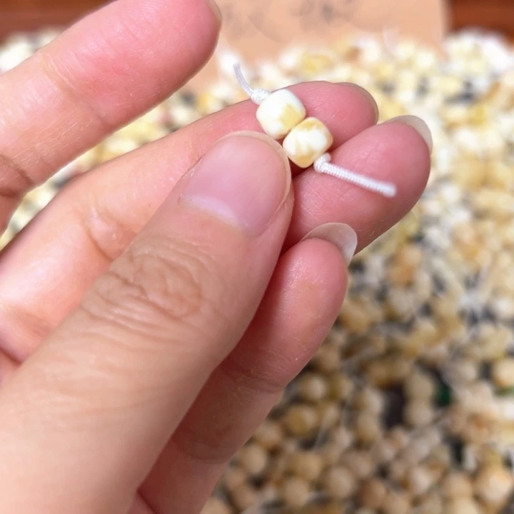蜜蜡未镶嵌裸石6mm一对