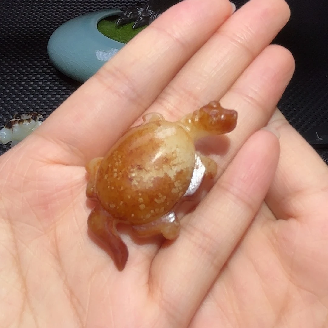 缸一物一图 所见所得