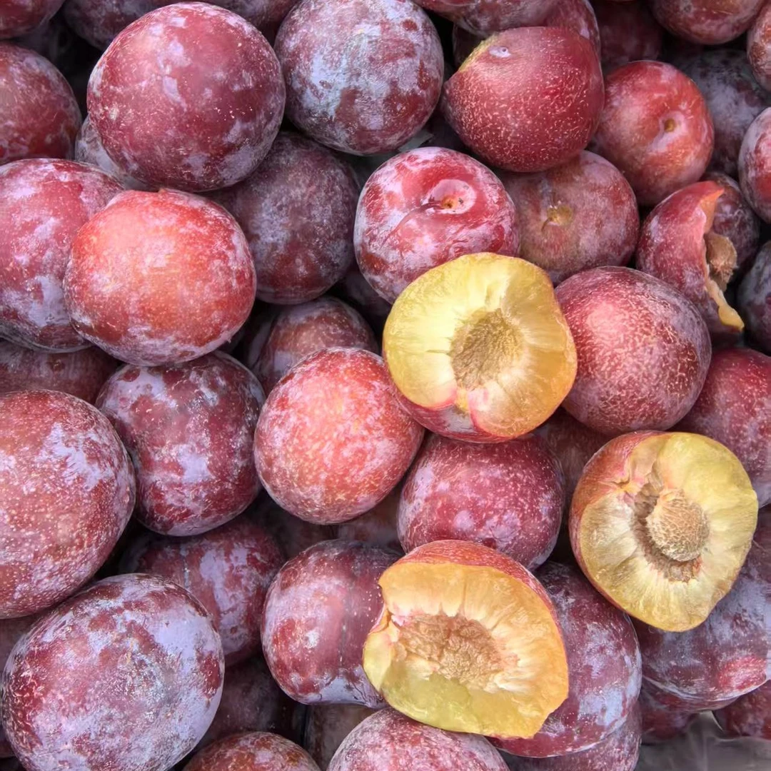 【六妈推荐】青红脆李 新鲜脆甜多汁 1件3斤起 辽宁发货