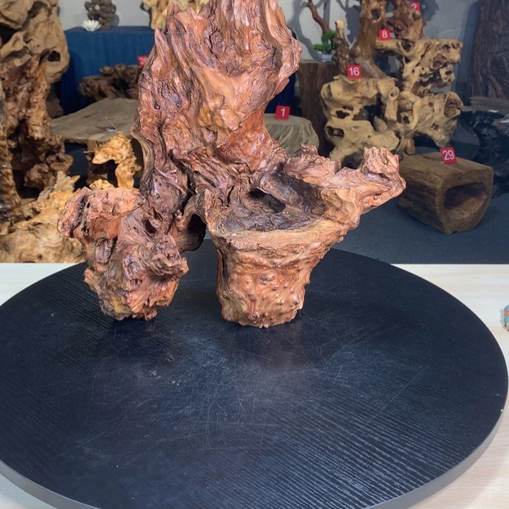 瑾***璞88888888888888888888